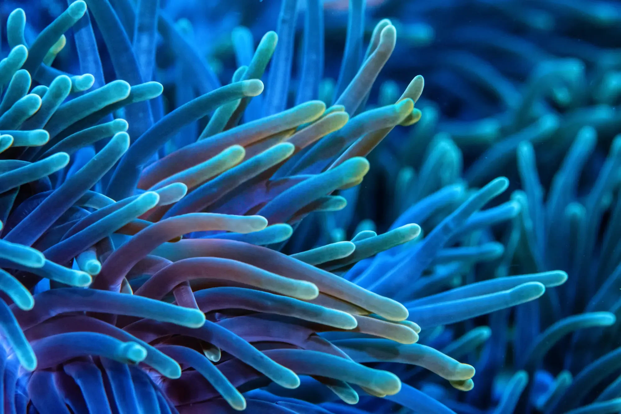 Cover image for home page.